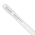 Ledvance LED Buis T8 Value (UN) High Output 24W 2800lm - 840 Koel Wit | 150cm - Vervangt 58W